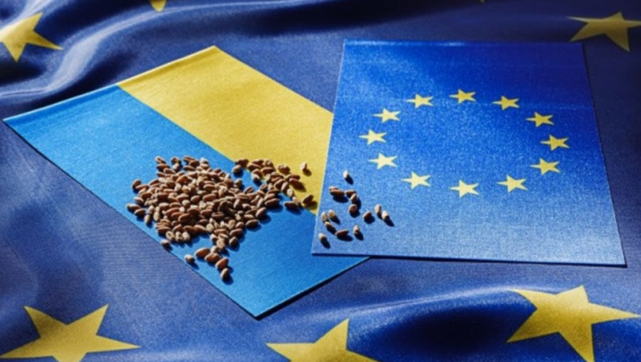 »Экономический безвиз» Украины с ЕС планируют продлить до лета 2025 года