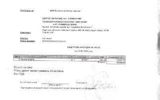 Расходные накладные от вероятно фиктивного ФОПа