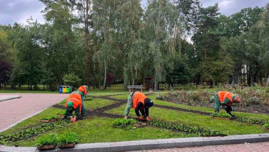Кияни критикують мера за витрати на озеленення під час війни