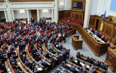Совет принял закон о множественном гражданстве в первом чтении