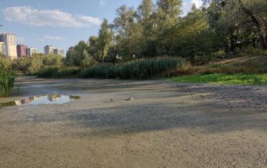 У Києві на Виноградарі від озера залишилась лише вогка земля