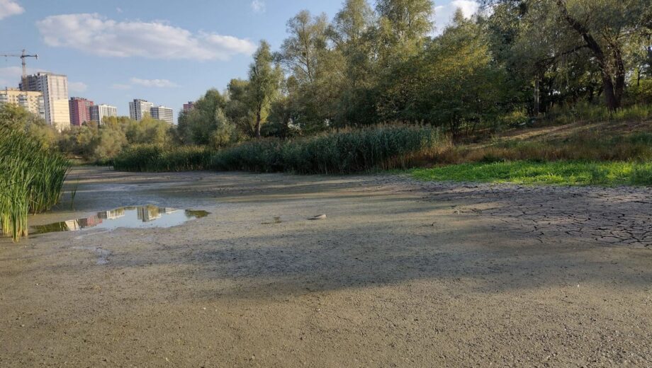 У Києві на Виноградарі від озера залишилась лише вогка земля