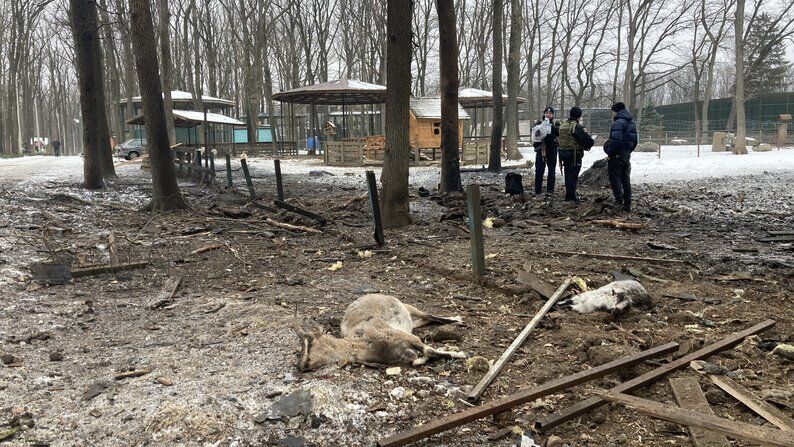 Удар КАБ по ''Фельдман екопарку'': поранена волонтерка, загинули птахи та постраждали тварини