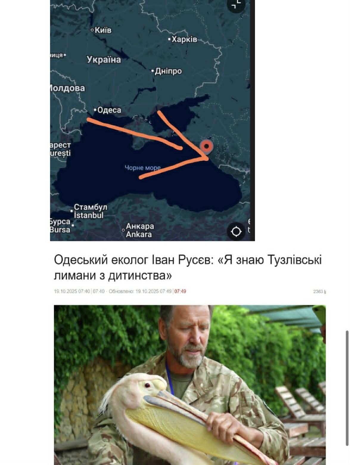 Что известно о ситуации с дельфинами на юге Украины