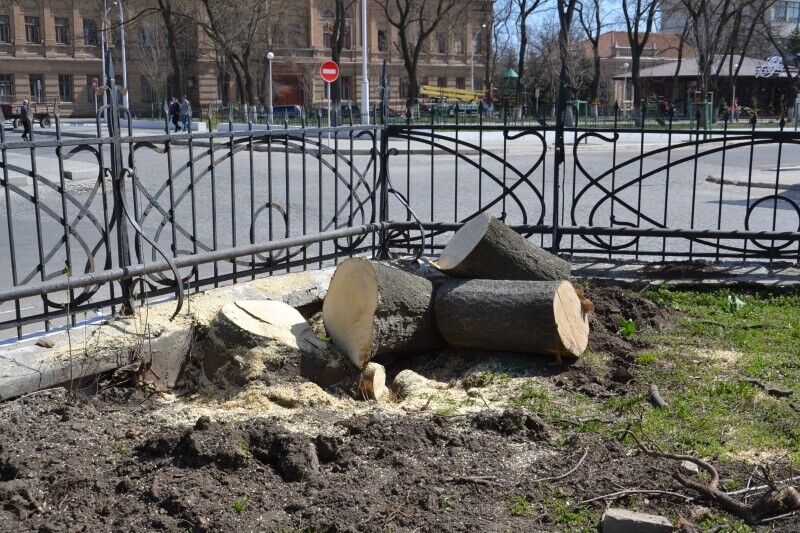 Измаильский горисполком использовал почти 3 млн от ЕС для нецелевых работ в городском саду, – СМИ