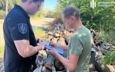 Посадовець лісгоспу Кіровоградщини відповість за вирубку старих дерев