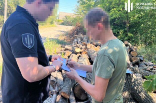 Посадовець лісгоспу Кіровоградщини відповість за вирубку старих дерев
