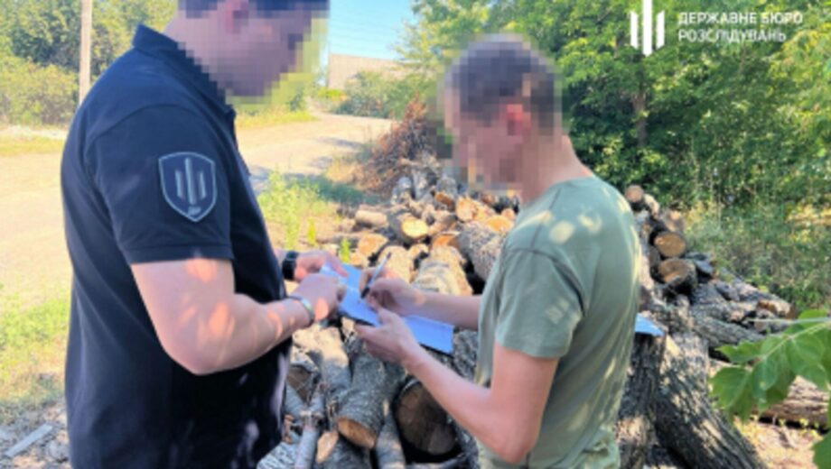 Посадовець лісгоспу Кіровоградщини відповість за вирубку старих дерев