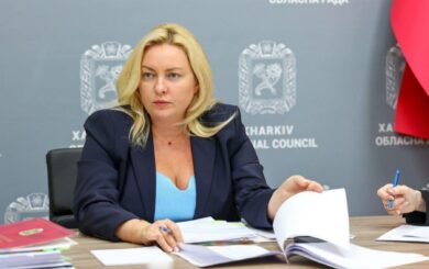 Развод, рост доходов и рестораны во Франции: финансовые секреты главы Харьковского облсовета
