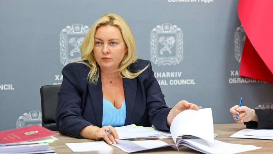 Развод, рост доходов и рестораны во Франции: финансовые секреты главы Харьковского облсовета