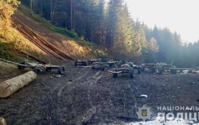 Населення не каратимуть за зберігання дров: пояснення від ”Слуги народу”