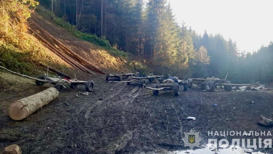 Населення не каратимуть за зберігання дров: пояснення від ”Слуги народу”