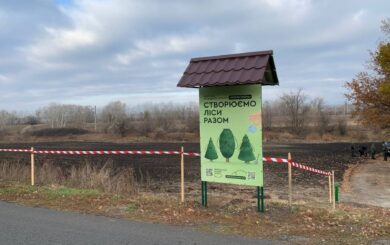 »Славянск, Краматорск: незаконная вырубка леса и подделка документов» – чат-бот СтопКору