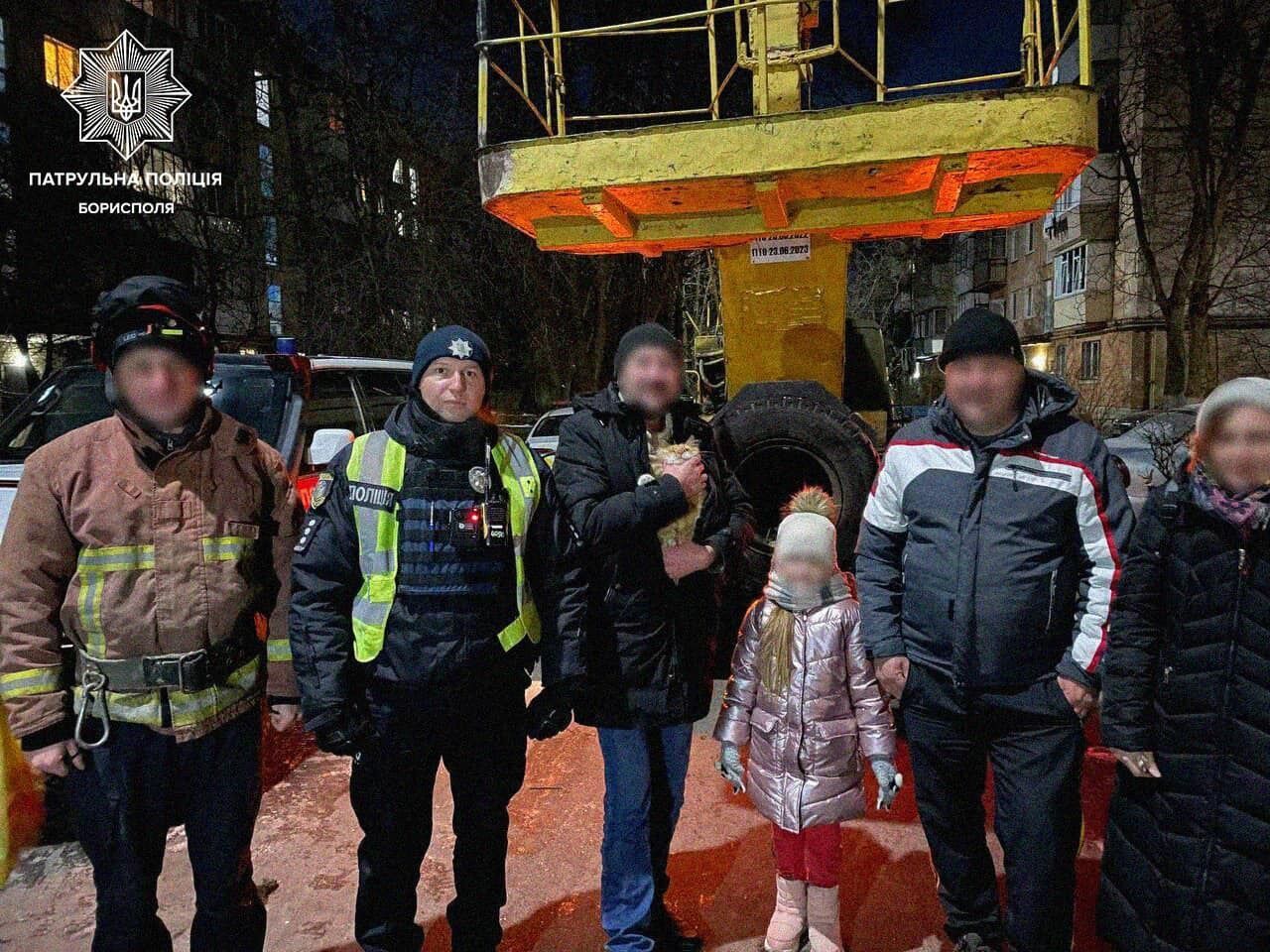 Кіт на висоті 4-го поверху