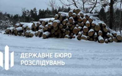 Незаконная вырубка дубов на 59 млн грн: в суд направлено дело против чиновников и правоохранителей