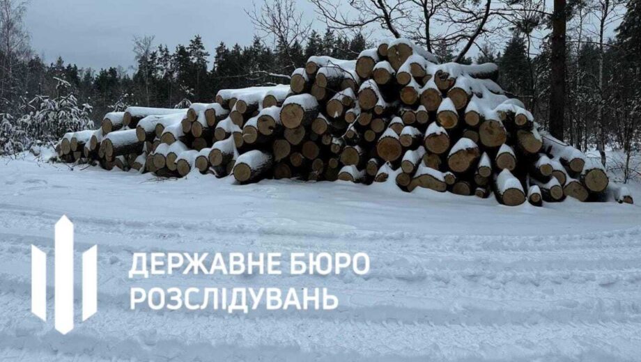 Незаконная вырубка дубов на 59 млн грн: в суд направлено дело против чиновников и правоохранителей