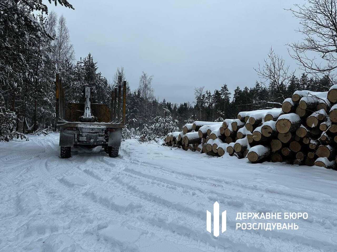 Незаконная вырубка дубов на 59 млн. грн.