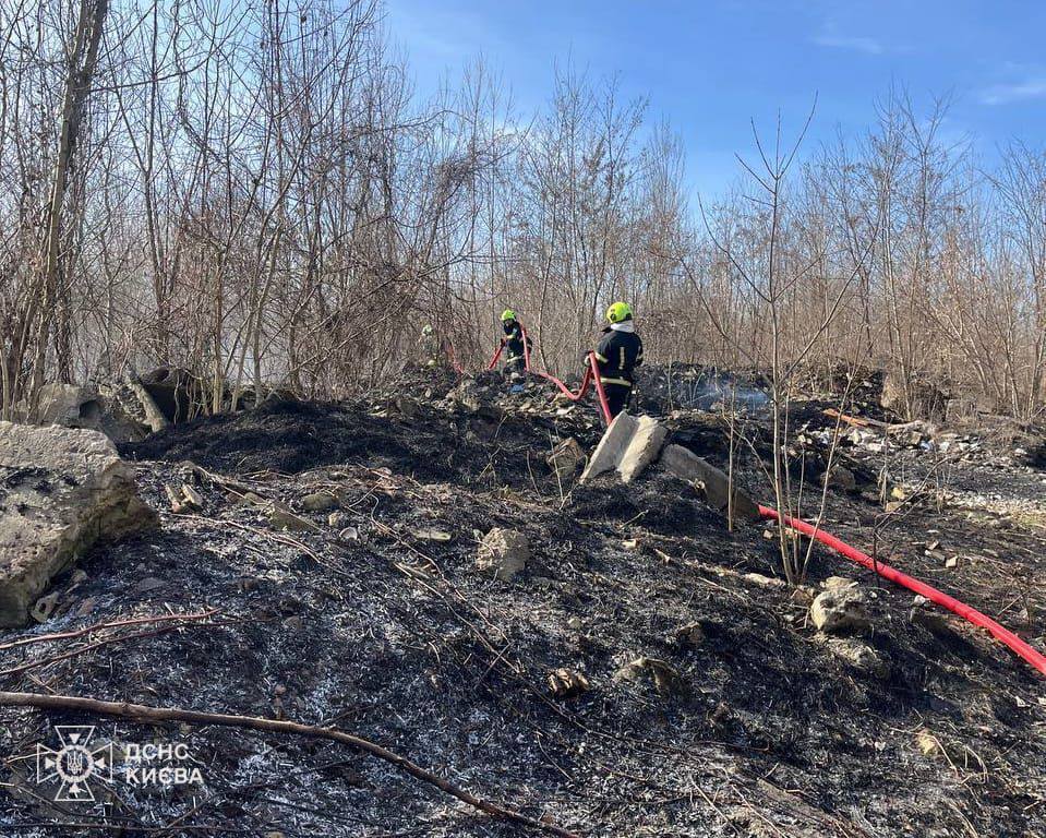 Пожежі сухої трави у Києві