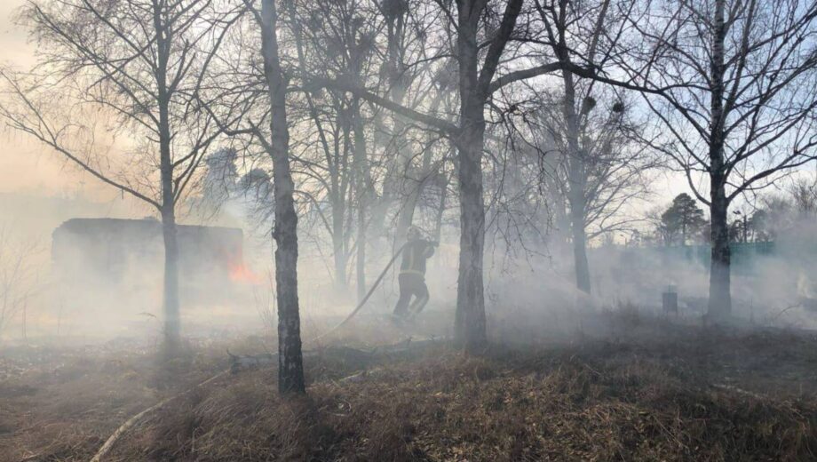 Пожежі сухої трави у Києві: рятувальники боролися з вогнем у кількох районах