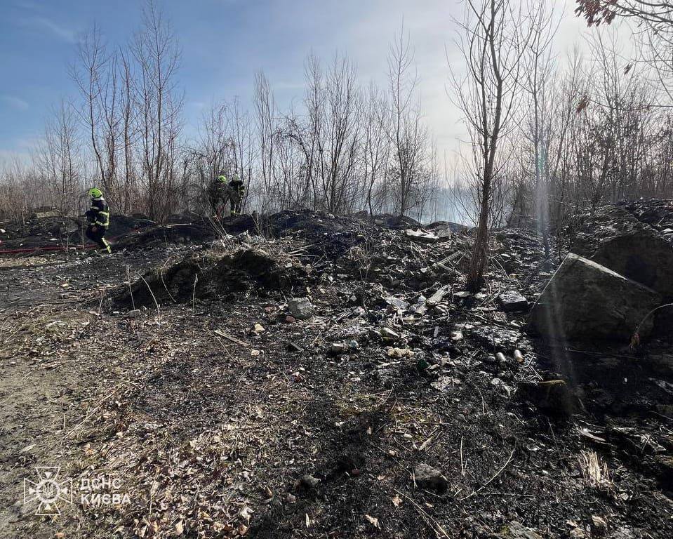 Пожежі сухої трави у Києві
