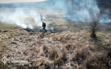 Палає сухостій: рятувальники Одещини за тиждень ліквідували понад 25 пожеж