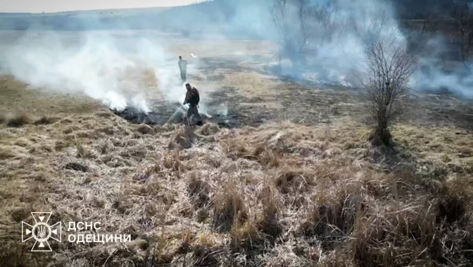 Пылает сухостой: спасатели Одесщины за неделю ликвидировали более 25 пожаров