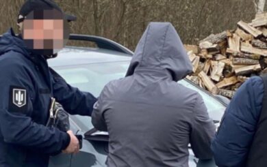 ДБР викрило масштабну схему незаконної вирубки лісу на Волині