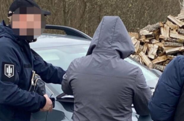 ДБР викрило масштабну схему незаконної вирубки лісу на Волині