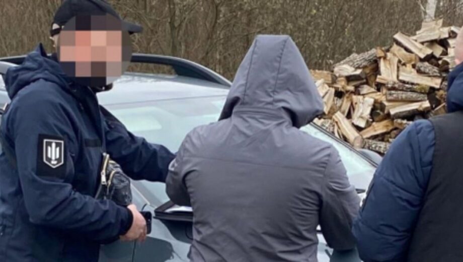ДБР викрило масштабну схему незаконної вирубки лісу на Волині