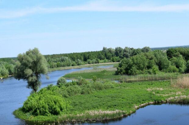 На Полтавщині судитимуть посадовців через передачу 100 гектарів земель нацпарку ”Пирятинський”