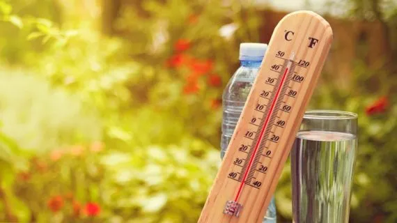 Жара до +31°: в Украину движется аномальное потепление — синоптики назвали дату
