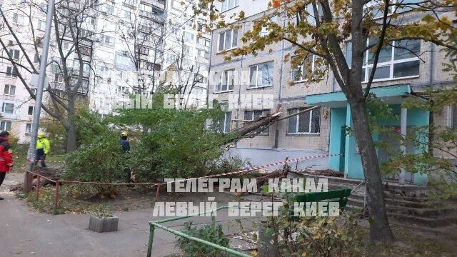 Сильный ветер в Киеве срывает крыши и вырывает деревья (фото)