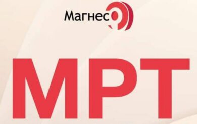 »ООО »Магнес»: возможна коррупция в Днепропетровской области», – чат-бот