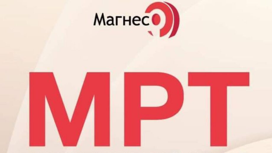 »ООО »Магнес»: возможна коррупция в Днепропетровской области», – чат-бот
