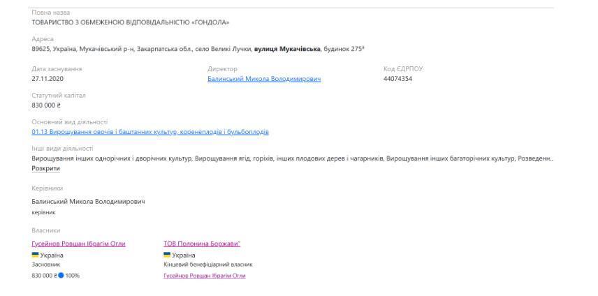 Профиль ООО ''Гондола'' на Опендатабот