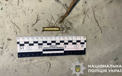 Убийство собаки в Киевской области: охотник получил подозрение по статье 299 УКУ