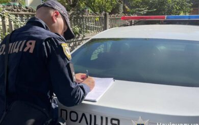 В Прикарпатье водитель сбил 28 овец в Ворохте — подробности ДТП