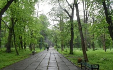 У Стрию вирішили витратити під час війни  100 млн грн на парк