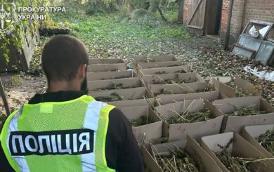 На Рівненщині викрили підпільний склад з 200 кг канабісу