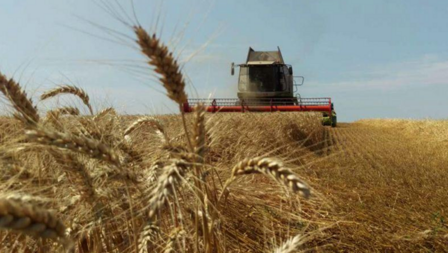 Украинские аграрии уже собрали урожай