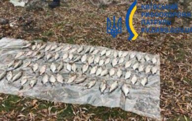 На Київщині чоловік наловив риби на 117 тис. грн штрафу: рибоохорона викрила порушника