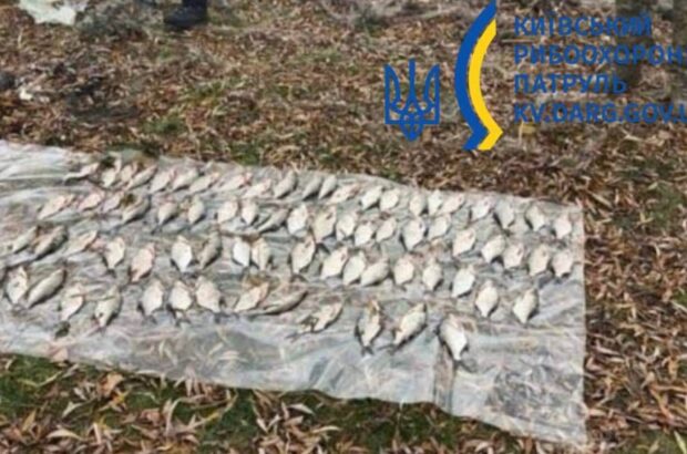 В Киевской области мужчина наловил рыбы на 117 тыс. грн штрафа: рыбоохрана разоблачила нарушителя