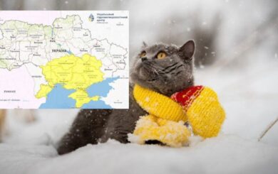 Хурделиця паралізувала дороги: обмежено рух вантажівок і автобусів