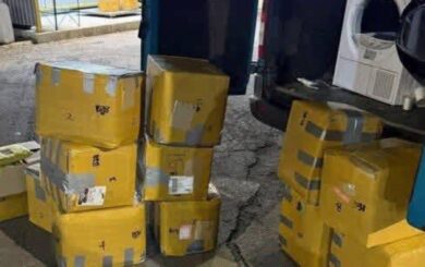 Понад 700 кг наркотичного чаю: митники зупинили спроби незаконного ввезення з ЄС