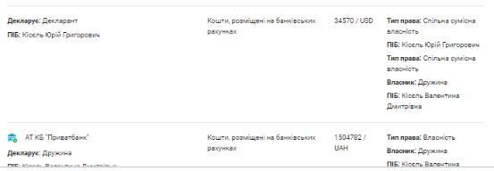 Задекларированные финансы семьи Киселя