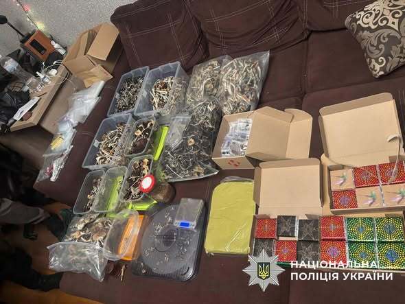 В Киеве разоблачили нарколабораторию в квартире: псилоцибиновые грибы продавали под видом шоколада