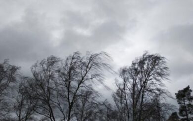 Сильні пориви вітру та осіннє потепління: що чекає українців у найближчі дні