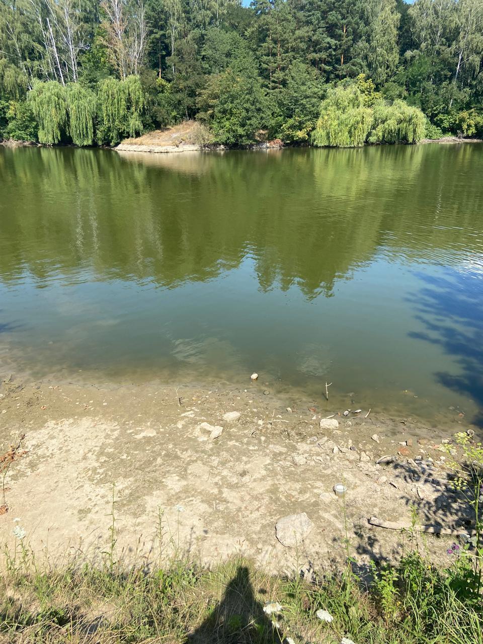''Ільківський Став'' на Вінничині під загрозою: кошти на ремонт греблі зникли, тепер може зникнути екосистема