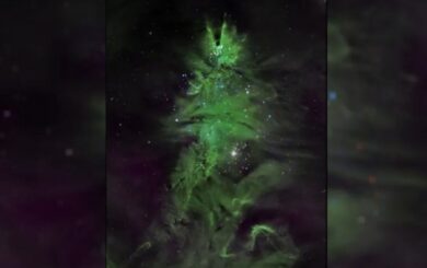 Новогоднее настроение от NASA: в сети показали скопление звезд »рождественская елка» (фото)