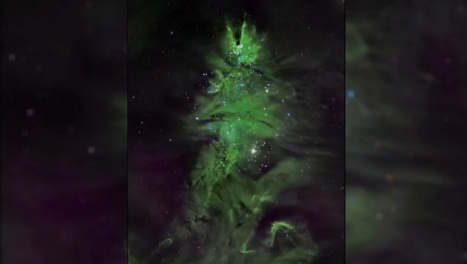 Новогоднее настроение от NASA: в сети показали скопление звезд »рождественская елка» (фото)